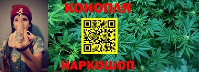 Альфа ПВП Тосно