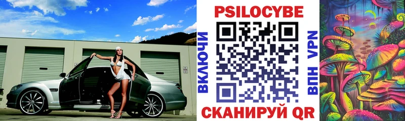 цена наркотик  Ахтубинск  Псилоцибиновые грибы Psilocybe 